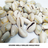 100 Pieces Pack' Natural Cowrie Shells Single Hole