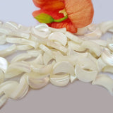Moon Shape Mother of Pearl MOP Shell Beads sold Per line about 32 Beads in size about