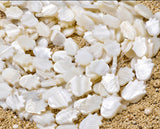 12x16mm White Tulip Shape Mother of Pearl (MOP) Beads Strand | Natural Shell Beads | Approx. 26 Beads Per String