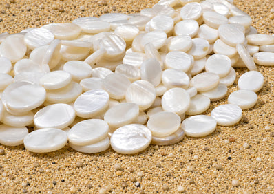 13x18mm White Oval Mother of Pearl (MOP) Beads Strand | Natural Shell Coin Beads | Approx. 22 Beads Per String