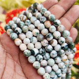 8MM, TREE AGATE FACETED ' SEMI PRECIOUS BEADS JEWELRY MAKING, NATURAL AND AUTHENTIC GEMSTONE BEADS' 46-47 BEADS