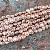 8mm, Coin Shape Shell Pearl Beads with a smooth, glossy finish, perfect for elegant necklaces, bracelets, and premium jewelry designs. Uniform, classy, and ideal for DIY creators. Sold Per Line 47~48 beads