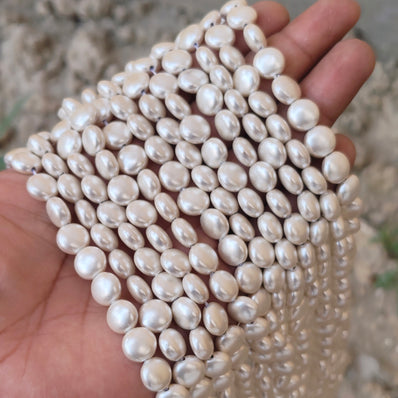 10mm, Coin Shape Shell Pearl Beads with a smooth, glossy finish, perfect for elegant necklaces, bracelets, and premium jewelry designs. Uniform, classy, and ideal for DIY creators. Sold Per Line 37~38 beads