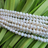 52PCS/STRAND/LINE NATURAL FRESHWATER PEARL BEADS NATURAL COLOR PEARL BEADS SPHERICAL SHAPE' FOR DIY NECKLACE BRACELET JEWELRY MAKING BEADING SUPPLIES IN SIZE ABOUT 6.5-7MM