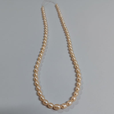 High-quality Freshwater Pearl Beads with natural shine and smooth texture. Perfect for necklaces, bracelets, and premium jewelry making. Ideal for designers and DIY creators.  Approximately size Sold Per Line, About   Beads