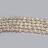 High-quality Freshwater Pearl Beads with natural shine and smooth texture. Perfect for necklaces, bracelets, and premium jewelry making. Ideal for designers and DIY creators. 5~9 Approximately size Sold Per Line, About  64~65 Beads