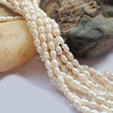 Freshwater, Pear, Real, Pearl, Sold, Per, Line, about,  65 Beads, String, Rice, Shape Natural, Color Size, Approximately 4x7mm