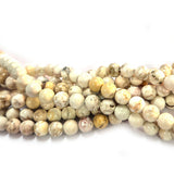 Fossil Jasper 6mm Round Gemstone Beads Sold Per Line Approx  60~65 beads