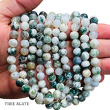 8mm Round Gemstone Beads, Tree Agate Per Line Approx 46 Beads