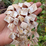 1 LINE/STRING PACK'SIZE APPROX' 16-22 MM' 15-16 PIECES' MOP SHELL BEADS