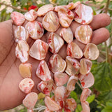 1 LINE/STRING PACK'SIZE APPROX' 16-22 MM' 18-19 PIECES' MOP SHELL BEADS