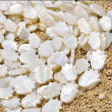 12x16mm White Tulip Shape Mother of Pearl (MOP) Beads Strand | Natural Shell Beads | Approx. 26 Beads Per String