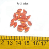 100Pcs Pkg. Real Cats Eye Jewelry Making Raw Materials