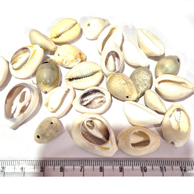 100pcs Shell Kauri Beads assorted shape and size mix