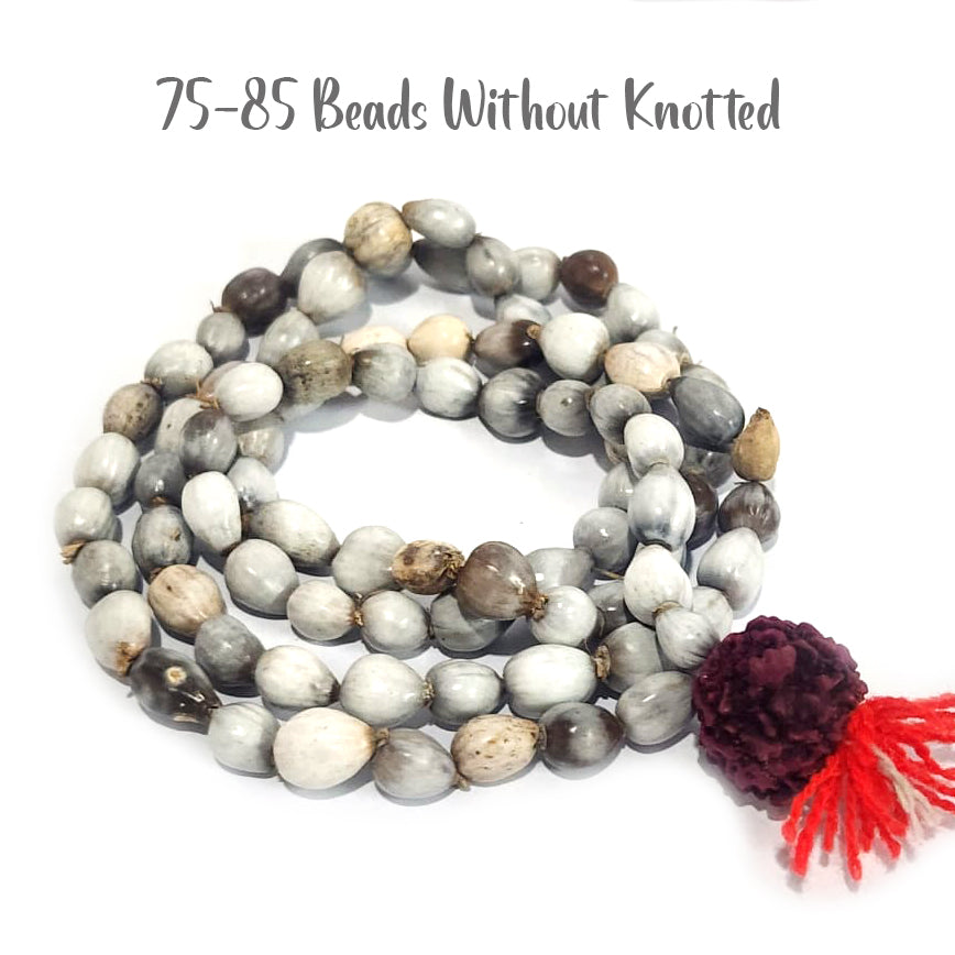 vaijayanti plant seeds Vaijayanti Mala Beads, Sold 108+1 Beads Mala Available in 2 kind of Pa – Madeinindia Beads