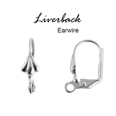 925 Sterling Silver French Wire Earring Hooks Fish Hook Earrings Sterling  Silver Earwires 925 Sterling Silver Ear Hooks Earrings(10pairs, Silver)