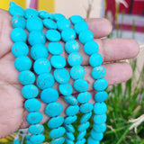 Per Line Howlite Turquoise beads Disc Shape in size about 10mm, approx 42 beads