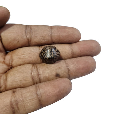 10/Pcs Pkg. Palm Wood Natural Beads handmade large size