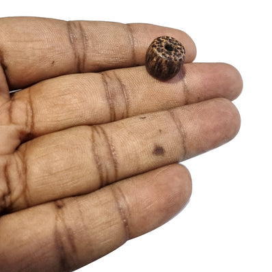 10/Pcs Pkg. Palm Wood Natural Beads handmade Barrel Shape