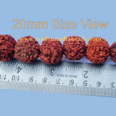 20mm Size 100% Original Nepal  108+1 Beads Panch Mukhi Rudraksha Japa Mala, without knotted