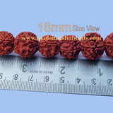 18mm Size 100% Original Nepal  108+1 Beads Panch Mukhi Rudraksha Japa Mala, without knotted