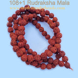 12mm Size 100% Original Nepal  108+1 Beads Panch Mukhi Rudraksha Japa Mala, without knotted