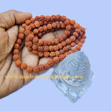8mm Size 100% Original Indonesia, 108+1 Beads Panch Mukhi Rudraksha Japa Mala, without knotted
