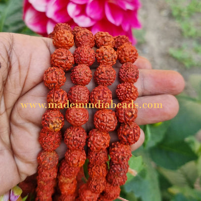 12mm Size 100% Original Nepal  108+1 Beads Panch Mukhi Rudraksha Japa Mala, without knotted