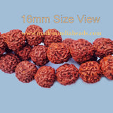 16mm Size 100% Original Nepal  108+1 Beads Panch Mukhi Rudraksha Japa Mala, without knotted