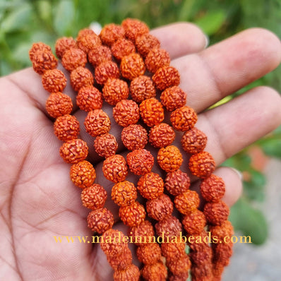 8mm Size 100% Original Indonesia, 108+1 Beads Panch Mukhi Rudraksha Japa Mala, without knotted