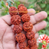 18mm Size 100% Original Nepal  108+1 Beads Panch Mukhi Rudraksha Japa Mala, without knotted