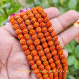 7mm Size 100% Original Indonesia, 108+1 Beads Panch Mukhi Rudraksha Japa Mala, without knotted