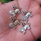 10 PIECES PACK' SILVER OXIDIZED LION Leo Zodiac CHARMS' 20 MM USED DIY JEWELLERY MAKING