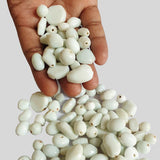 250 Gram Pack Large Milky White Glass Beads for jewellery making