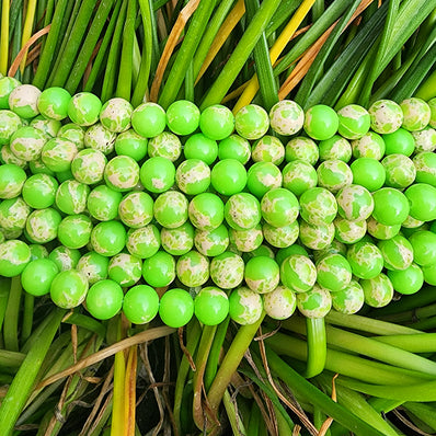 8MM, IMPERIAL JASPER PLAIN ' SEMI PRECIOUS BEADS JEWELRY MAKING, NATURAL AND AUTHENTIC GEMSTONE BEADS' 46-47 BEADS