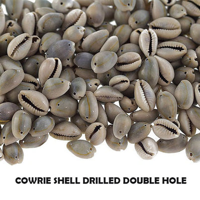 Cowrie Shells Sold Per pack of 100 Pieces
