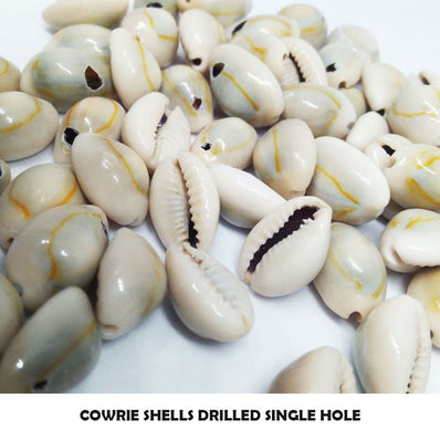 Cowrie Shells Sold Per pack of 100 Pieces – Madeinindia Beads