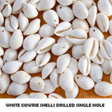 50 PIECES PACK' WHITE COWRIE SHELLS DRILLED SINGLE HOLE