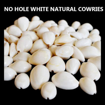 WHITE NATURAL COWRIE SHELLS NO HOLE SOLD BY 50 PIECES PACK