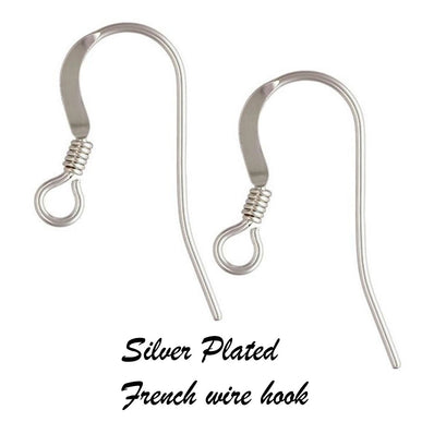 100Pcs Silver Plated Earring Hooks,Ear Wire Hooks,Earring Hooks Silver  Plated Surgical Steel Earring Hooks Hypo-Allergenic Ear Ring Accessories  for DIY Jewelry Supplies Making 
